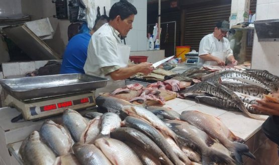 Venta de pescado en la mira de las autoridades ambientales.