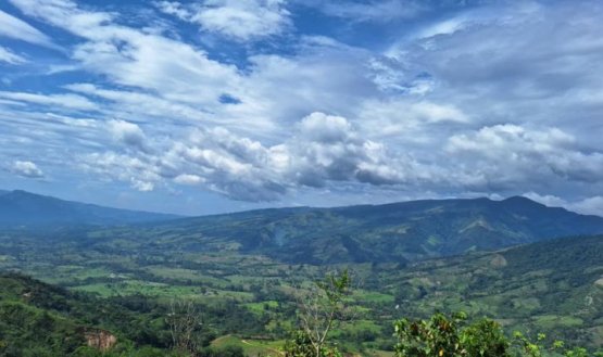 El obispo de la Diócesis de Ocaña, monseñor Orlando Olave, clama el cese de hostilidades en el Catatumbo.