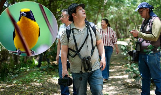 Avistamiento de aves en el parque Playa de Cúcuta. / Foto Carlos Ramírez y cortesía-La Opinión