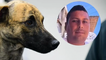 Justicia en caso de maltrato animal 