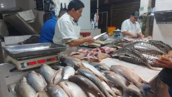 Venta de pescado en la mira de las autoridades ambientales.