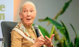 Jane Goodall 