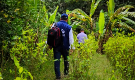  La Defensoría del Pueblo