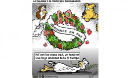 La Paloma y el Tigre son amenazados 
