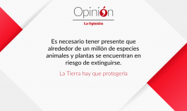 Plantilla Editorial nuevo redes.psd (74).png