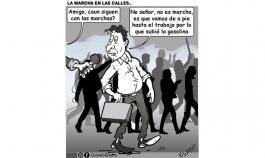 CARICATURA. 