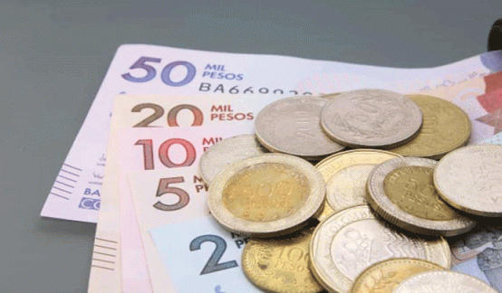 pago de devolución del IVA