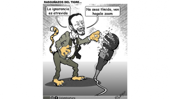 16-Caricatura-Rasguñazos del tigre