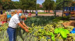 El secretario de Agricultura de Norte de Santander, Wilmar Arévalo, dijo que en 2021 el gobierno departamental seguirá apoyando el campo./ Foto:Foto cortesía para La Opinión