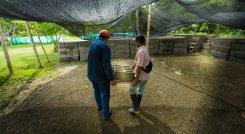 Todo el proceso es 100 % digital  por medio de  WhatsApp.