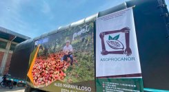 Asoprocanor suscribió un convenio con Nacional de Chocolates para la venta directa de diez toneladas de cacao. 