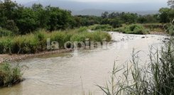 Tragedia familiar en el río Táchira./FOTO: Archivo