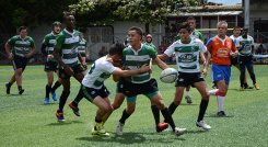 Más de 200 jugadores de rugby disputarán el Torneo Metropolitano de Rugby. 