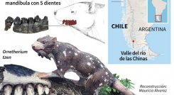 El animal vivió en La Patagonia. / Foto: AFP