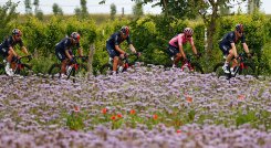 Egan Bernal se amaña con la maglia rosa en el Giro de Italia. 