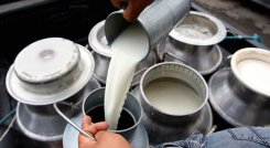 Caen precios de la leche y sus derivados por baja demanda