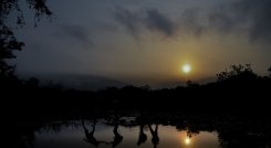 Migrantes cruzando por la trocha Los Mangos.