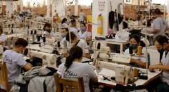 Con formación académica y ampliación de mercados, esperan poder retomar la estabilidad de la que gozaba el sector antes de la pandemia.  