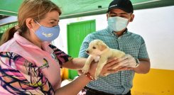 El alcalde de Los Patio, José Miguel Bonilla invitó a la comunidad a llevar a sus mascotas a esta jornada./Foto: cortesía