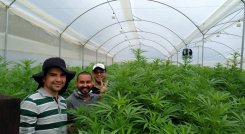 Los gestores del proyecto, Edwin Castellanos, Ángel Nova, Omar Rozo y Yonathan Quintana. / Foto: Roberto Ospino