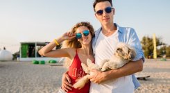 Mascotas podrán salir de vacaciones con sus dueños