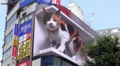 La 'mascota' 3D en Japón.