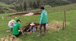 UniPamplona-Proyecto