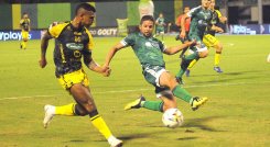 Antes de la pandemia, este deporte movía entre 30 y 40 mil millones de pesos al mes, según los datos de la Dimayor. / Foto: Colprensa