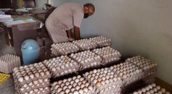 Las granjas medianas y pequeñas no pueden sobrevivir a la crisis del agro venezolano.
