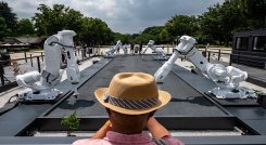 Los robots son una atracción