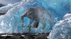 Tras las huellas de un mamut lanudo miles de años después./Foto: internet