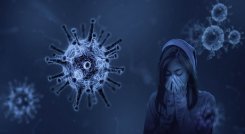 El virus es causado por el murciélago