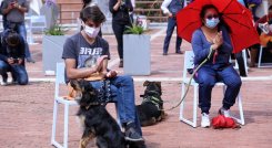 Los animales de compañía se han vuelto cada vez más importantes para las familias. /Foto archivo Colprensa
