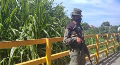 Más de 740 personas han sido asesinadas en lo que va de este año. Foto: La Opinión 