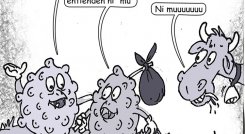 Caricatura @colombiatura
