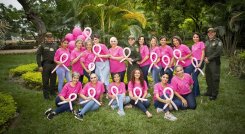 Fundación Dimensión Rosa.