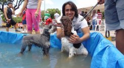 El concejal Víctor Caicedo ha logrado sacar adelante varios proyectos en favor de los animales./Foto Archivo La Opinión