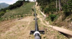 205.000 barriles  diarios, aproximadamente, transporta el oleoducto Caño Limón – Coveñas.afectado.