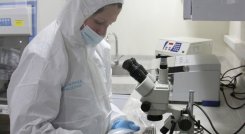 Este estudio examina el papel de una proteína, conocida como MC3R, relacionada con el desarrollo.
