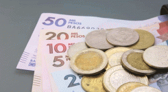 pago de devolución del IVA