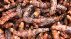 Esta nueva investigación de la USP demuestra que la proteína de soya favorece los músculos igual de bien cuando se complementa con una dieta vegetal.