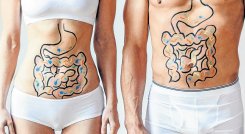 En diciembre, las enfermedades intestinales más frecuentes suelen ser: intoxicación, indigestión y en algunos casos, eventos de diarrea del viajero. 