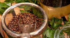 Producción de Café. 