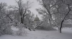 una fuerte tormenta invernal afectó el transporte y obligó a cerrar servicios federales y escuelas en Washington./ AFP