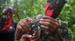 guerrilla del Eln ejerce influencia en la violencia que se vive en el Táchira./Foto carchivo