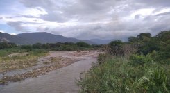 Este mes se cumplen 3 años del cierre de fronteras. / Foto: Cortesía / La Opinión 