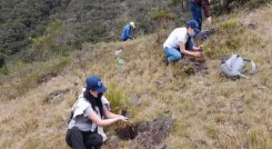 La meta es sembrar 5.000 árboles en la zona protegida. Foto: Cortesía/La Opinión.