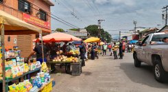 táchira