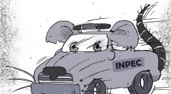 Caricatura @colombiatura