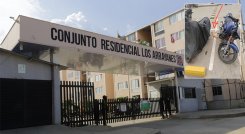 Envenenamiento de gato en Los Arrayanes